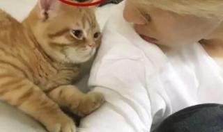 父母侵犯自己的隐私怎么办 怎样打自己的隐私