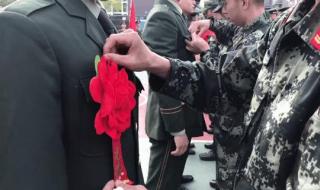 今夜为你流泪原唱 最后一次为你流泪