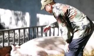 5.12汶川大地震是几级 5.12汶川大地震是几级