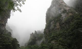 重庆到乌镇旅游攻略 乌镇自由行3天攻略